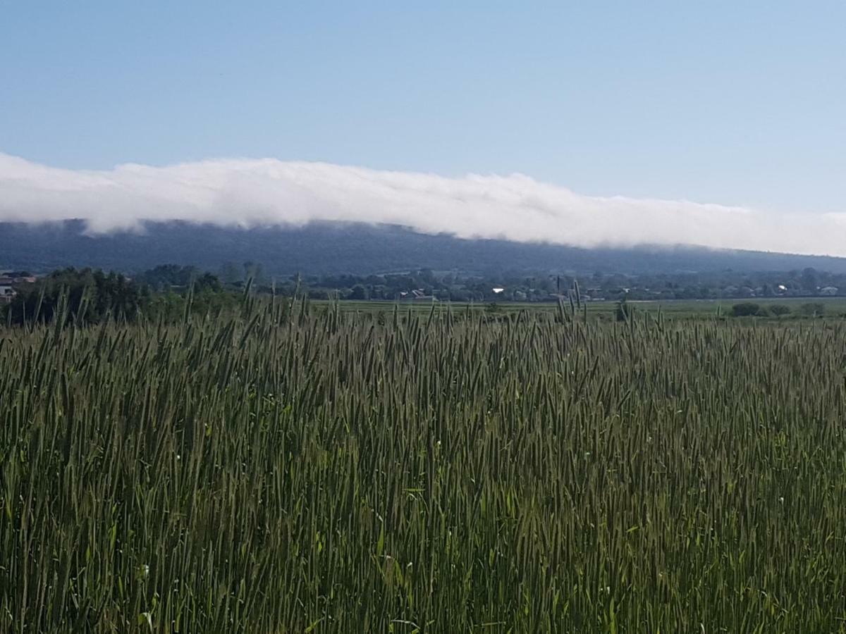 Mendokowe Ranczo Villa Gorno-Parcele Luaran gambar